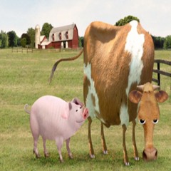 chicken 🍗 erryday Kars n Quan [skifytb 🐽 host]  #NoEph0rt #20fyve