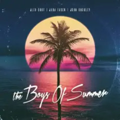 The Boys of summer (SCHRANZ edit)