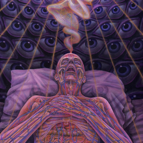 voices in my head x take it down