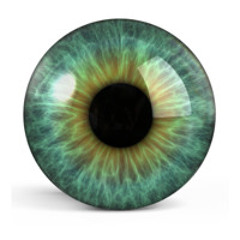 Glass Eyes