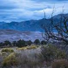 Querencia (2016) for wind ensemble feat. vibraphone