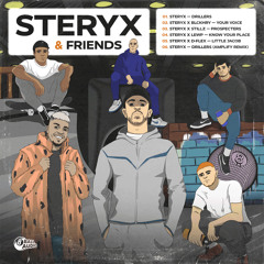 Your Voice (feat. Steryx)