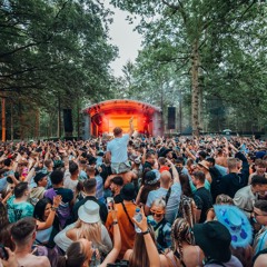 Forest dnb mix