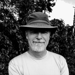 Say Goodbye To Mona Lisa