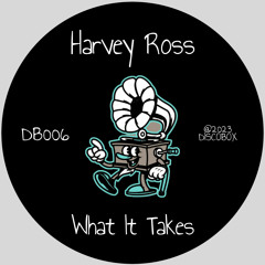 Harvey Ross - What It Takes (Radio Edit)