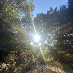 SENTIMENTAL MIX 9292024