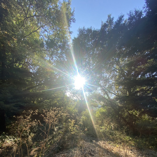 SENTIMENTAL MIX 9292024