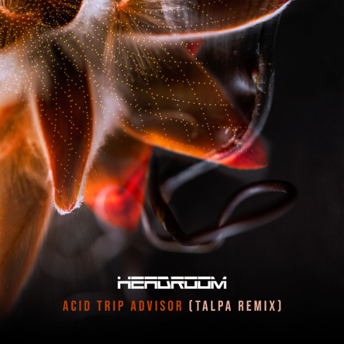 Headroom - Acid Trip Advisor (Talpa Remix)