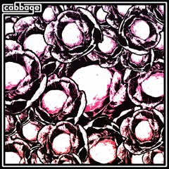 cabbage - fit (free download)