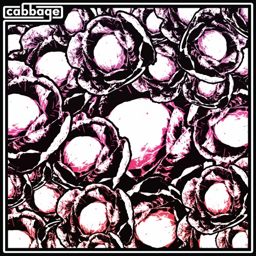 cabbage - fit (free download)