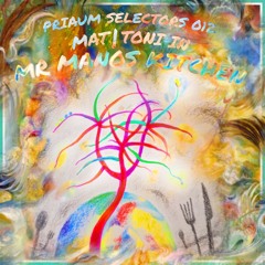 PRIAUM SELECTORS 012 - MAT|TONI IN MR MANOS KITCHEN