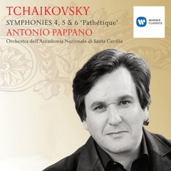 Symphony No. 5 in E Minor, Op. 64: II. Andante cantabile, con alcuna licenza