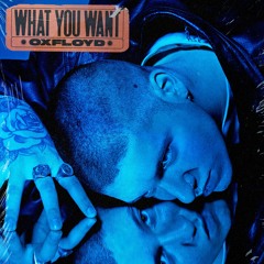 OXFLOYD - WHAT YOU WANT