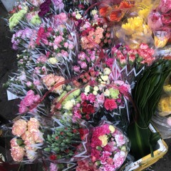 duong 10/2/24