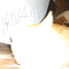 yava a pasar