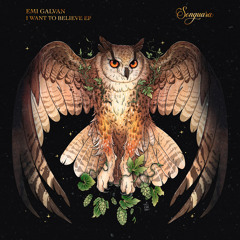 PREMIERE: Emi Galvan - I Want to Believe [Songuara]