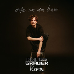 Paul Wetz - Ode an den Bass (OliverBrauerHardmix)