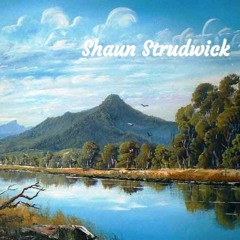 Canopy Sounds 94: Shaun Strudwick