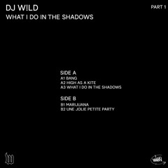 W030 B2 DJ W!LD - UNE JOLIE PETITE PARTY