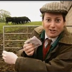 Flextime - Pon Di Farm [300 Follower Free Download]