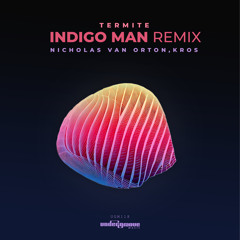 PREMIERE: Nicholas Van Orton & Kros - Termite (Indigo Man Remix) [Undergroove Music]