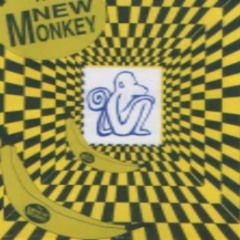 The New Monkey 11th May 2002 Side B DJ Nitro MC's Ace TNT Tazo