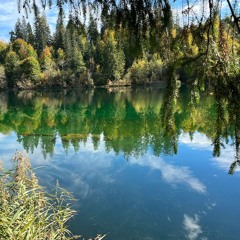 Mirror Lake Dub