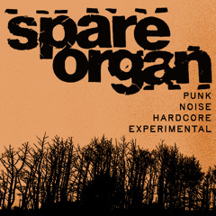 KZYX spareorgan Radio Show 014