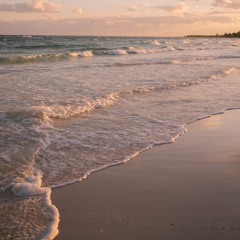 على كثر السنين | وصايف