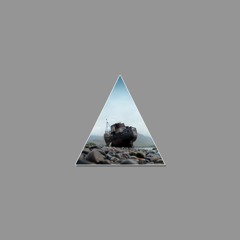 the one -emotional trap type beat