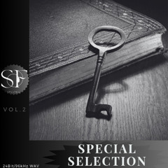 SPECIAL SELECTION VOL 2 DEMO