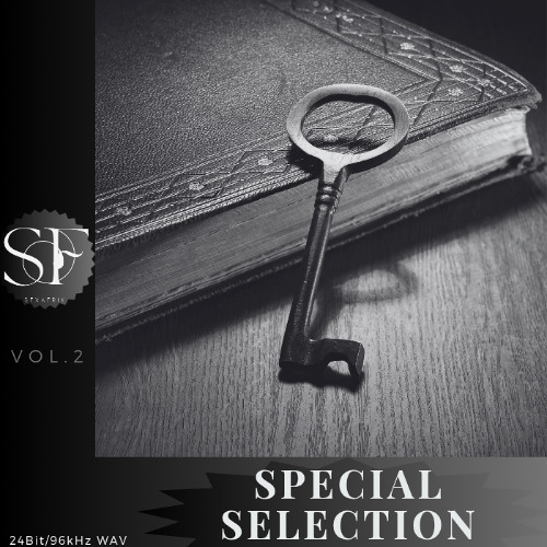 SPECIAL SELECTION VOL 2 DEMO