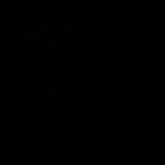 ItsARaggaBaddaChaddaTing