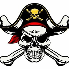 killernoize-you are a pirate