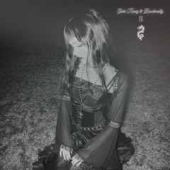 GOTH HOEZ & BANKROLLZ II