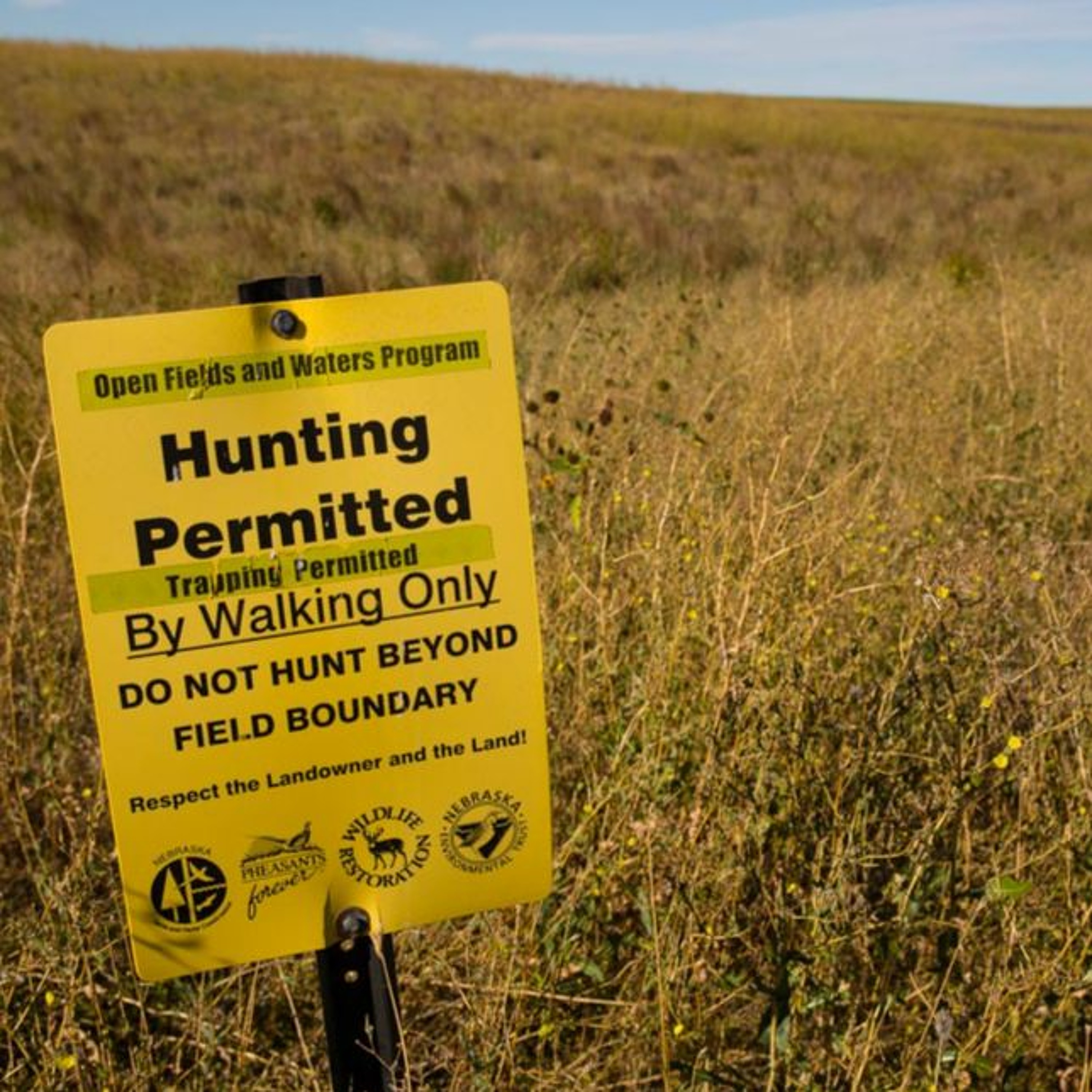 Episode 3: Where to Deer