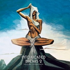 Intoxicated Breaks 2 - PREVIEW