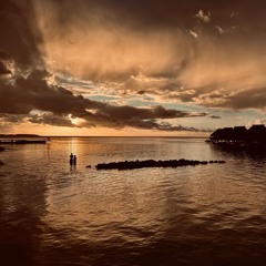 deep house Collection 2025  - Miami