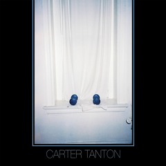 Carter Tanton - "Steep Angles"