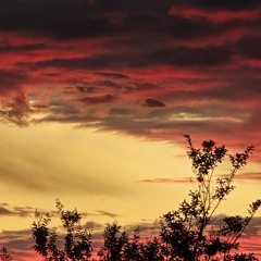 Story Of Broken Humanity