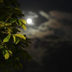 خليلي هذا ربع عزة