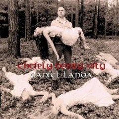 Andílek-Daniel Landa (Sped up)