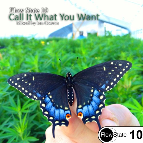 Ian Cowan - Call It What You Want [Trip Hop +] [FS 10]