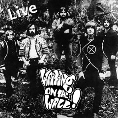 Bellyful of Rock (Live)