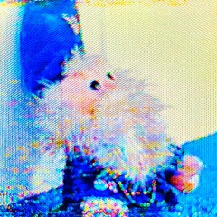 Introductions And Call Letters