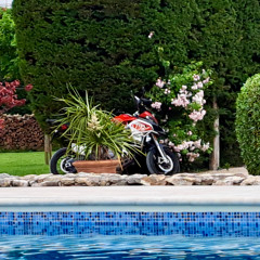 lawsuit louis 001 wav