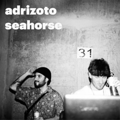 Premiere: Adrizoto - Seahorse