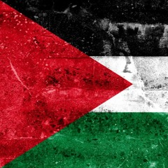 Leve Palestina, Krossa Sionismen