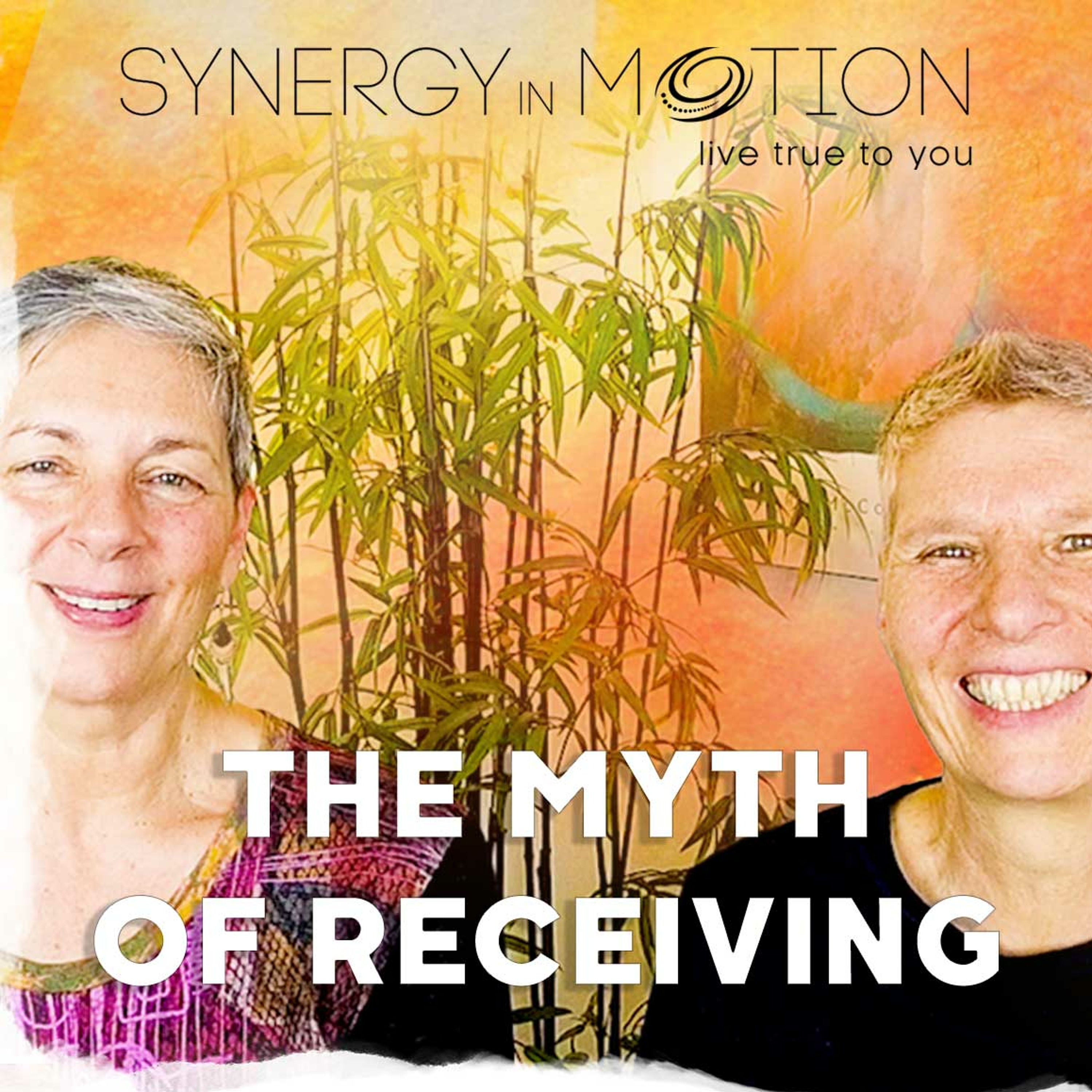 The Myth of Receiving ~ Hexagram 2 and 23 episode artwork