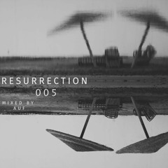 Resurrection 005